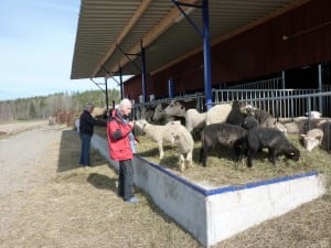 Per zeigt uns seine große Farm