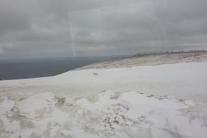 Rentiere auch hier in dieser "Eiswüste"