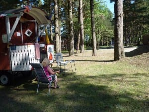 Stellplatz unter Kiefern