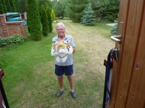 Wolfgang Kotzian schenkt uns diese Wildkatze Wolfgang Kotzian schenkt uns diese Wildkatze