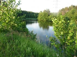 Am Ufer der "Alle" Am Ufer der "Alle"