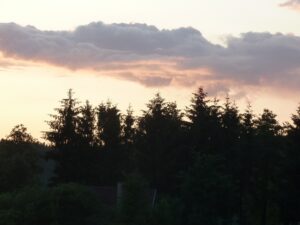 Abendhimmel über einem Wäldchen Abendhimmel über einem Wäldchen