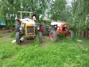 Zwei Veteranen, täglich noch im Arbeitseinsatz