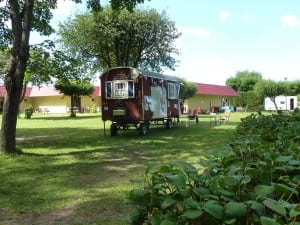 "Tante Paula" hat starkes Heimweh nach ihrem "Vagabunden" "Tante Paula" hat starkes Heimweh nach ihrem "Vagabunden"
