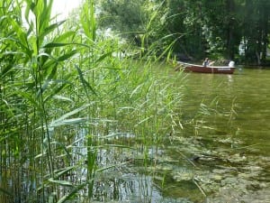 Uferlandschaft am "Stare Drawsko" bei "Czaplinek"