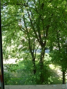 Und draußen "tobt" der ostdeutsche Sommer... Und draußen "tobt" der ostdeutsche Sommer...