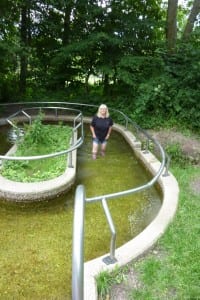 Das Wassertretbecken am Stellplatz in Hankensbüttel war mehr als nass