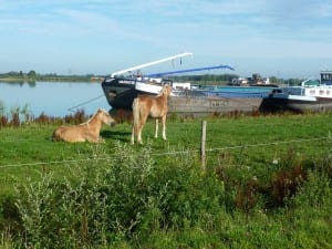 Blick von unserem Stellplatz bei "Beers" auf den kleinen Hafen