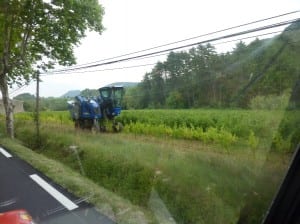 Ein Weibergschlepper bei der Ernte