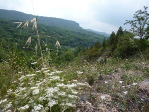 Blick vom Berggipfel