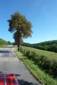 Die gut ausgebauten Nebenstrecken überzeugen auch den verwöhntesten Fahrer