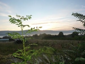 Die "Jura-Kette" lässt grüßen