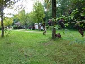 Unsere große "Spielwiese" am Campingplatz in Kandern/Schwarzwald