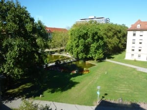 Blick von meinem Fenster im 2. Stockwerk nach Norden