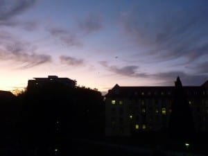Sonnenaufgang vor meinem Fenster gegen 7 Uhr