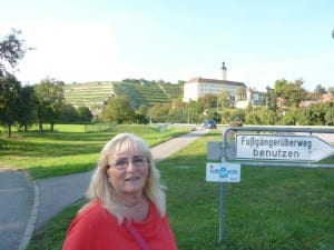 Das Kloster mit den Weingärten in Gundelsheim